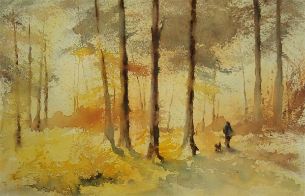 Matin en foret