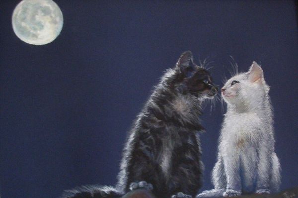 Chatons au clair de lune